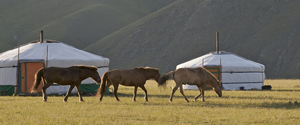 sejour mongolie groupes amplitudes yourte camp