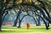 monk moine foret ayutthaya