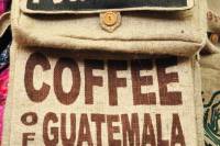 sejourner guatemala cafe local visiter pays groupe
