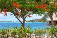 voyager polynesie decouverte paysage bora bora
