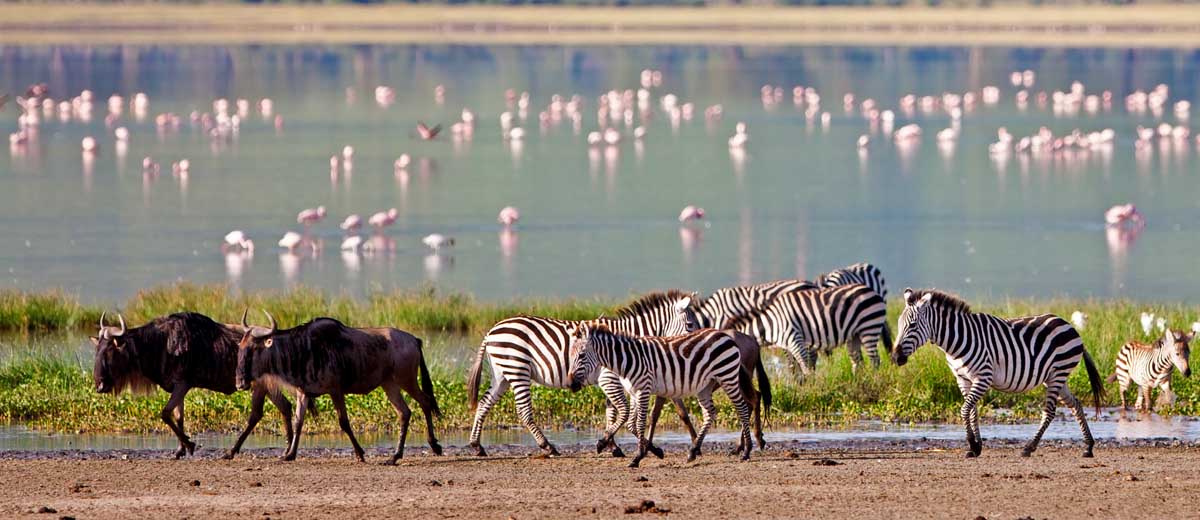 partir_en_Afrique_séjour_a_la_carte_en_Tanzanie_visiter_parc_national_de_tarangire_ voyage sur_mesure