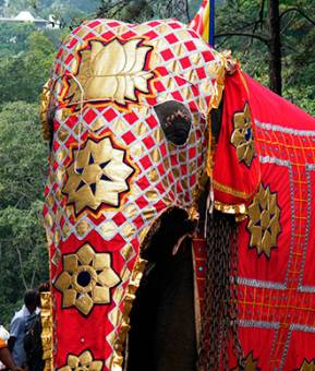 voyager en asie decouvrir sri lanka voir sirigiya 