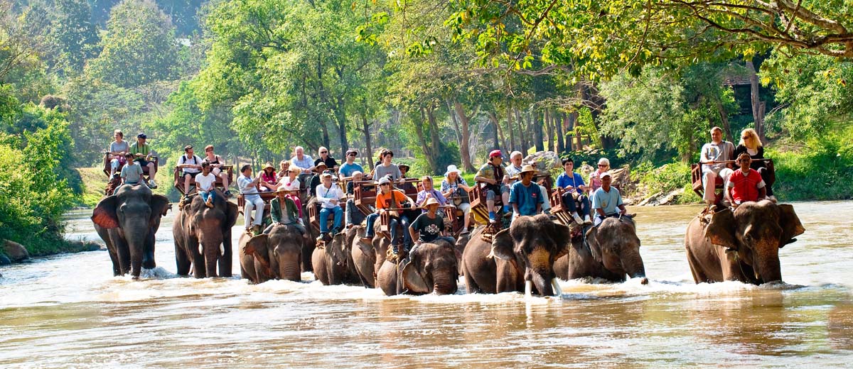 circuit famille thailande ballade elephant