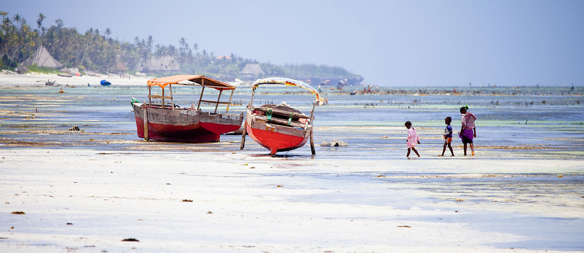 afrique zanzibar voyage sejour groupe