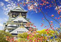 decouverte villes mythiques japon architecture