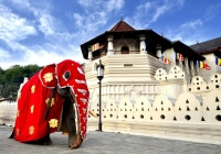 sejour sri lanka groupe perahera fete elephants