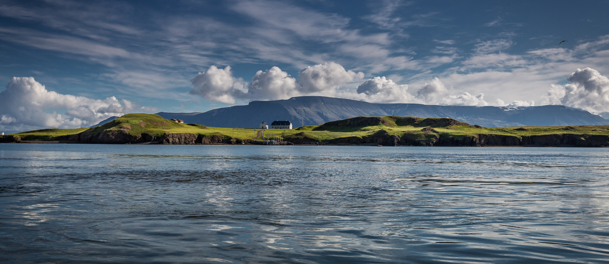 voyage islande decouvrir reykjavik