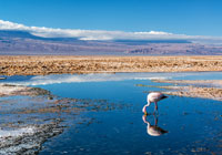 amerique sud voyage chili desert atacama