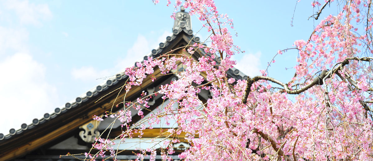 sejour groupe tokyo japon temple