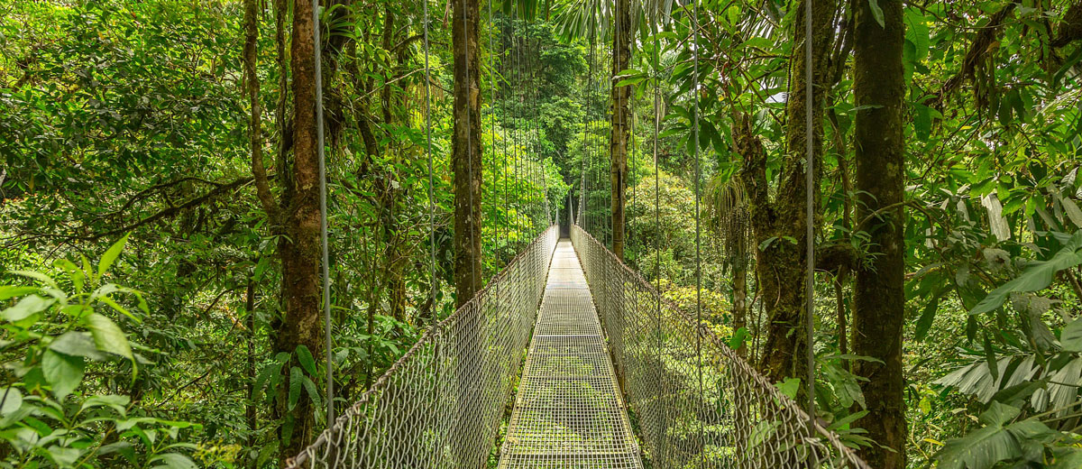 voyage costa rica amerique amplitudes jungle