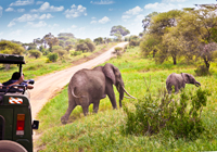 voyage afrique en groupe safari tanzanie zanzibar