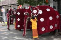 sejour sri lanka groupe perahera fete 