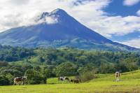 vulcano horses cheval pasture