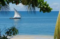 afrique zanzibar voyage sejour groupe