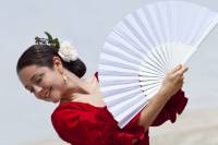 voir danseuses traditionnelles espagne seville 