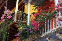 balcon fleurs maison coloniale
