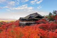 kiyomizu dera couleurs asiatiques