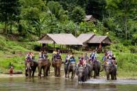 voyage groupe thailande promenade elephant