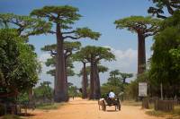 voyage madagascar ile rouge sejour