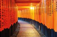 japan fushimi inaritorii gates tupungato