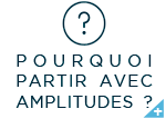 Pourquoi partir avec amplitudes ?